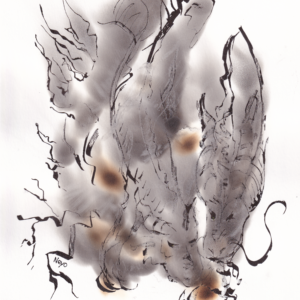 Aparición del dragón