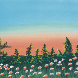 Atardecer en el campo